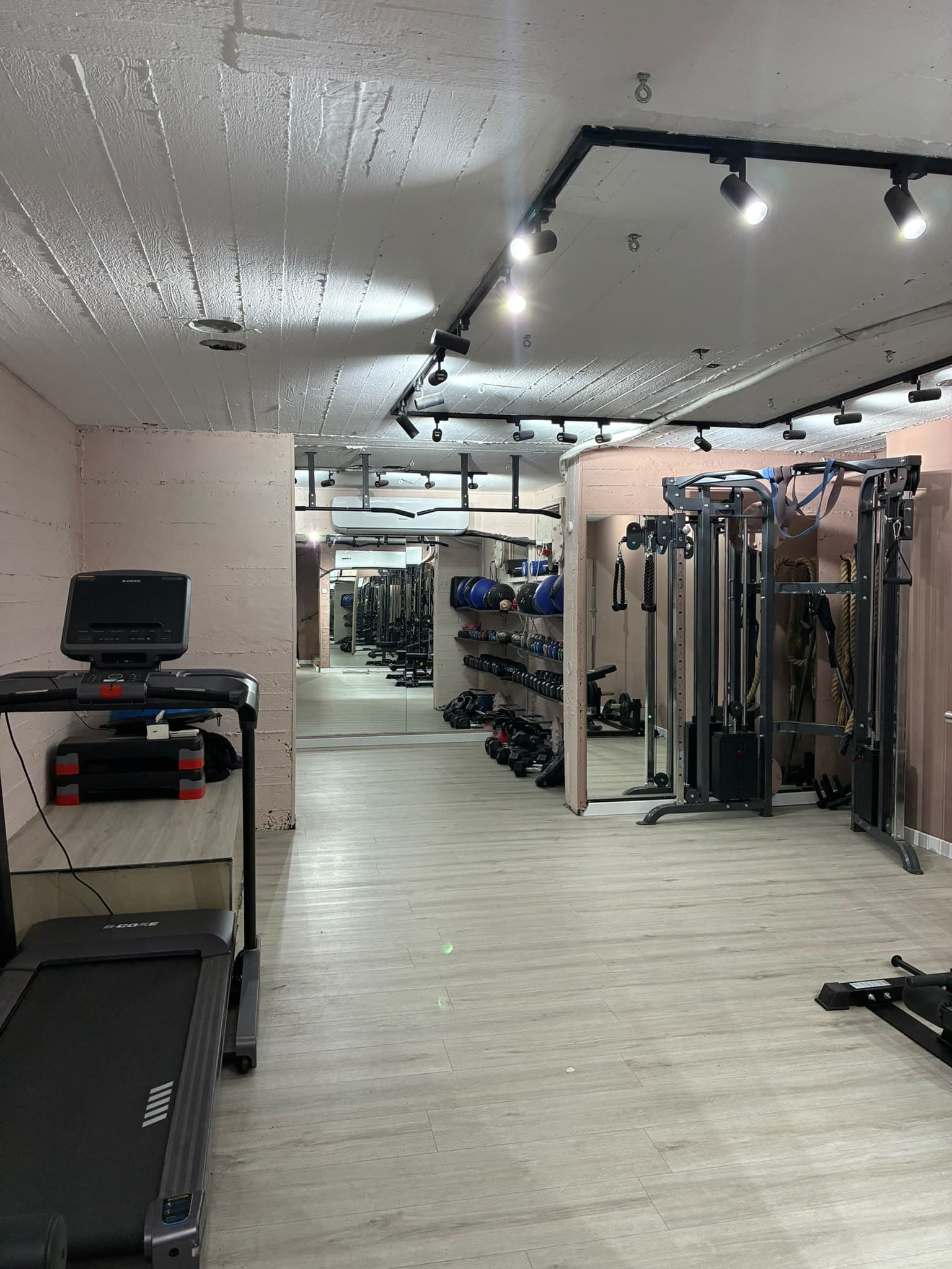 The gym, with a treadmill, dumbbell racks and a cable machine